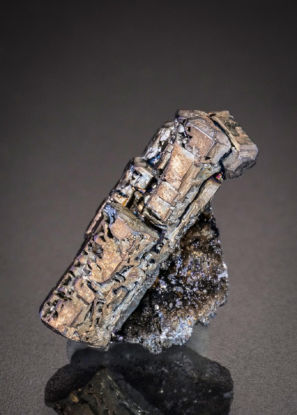 CC17131 specimen image