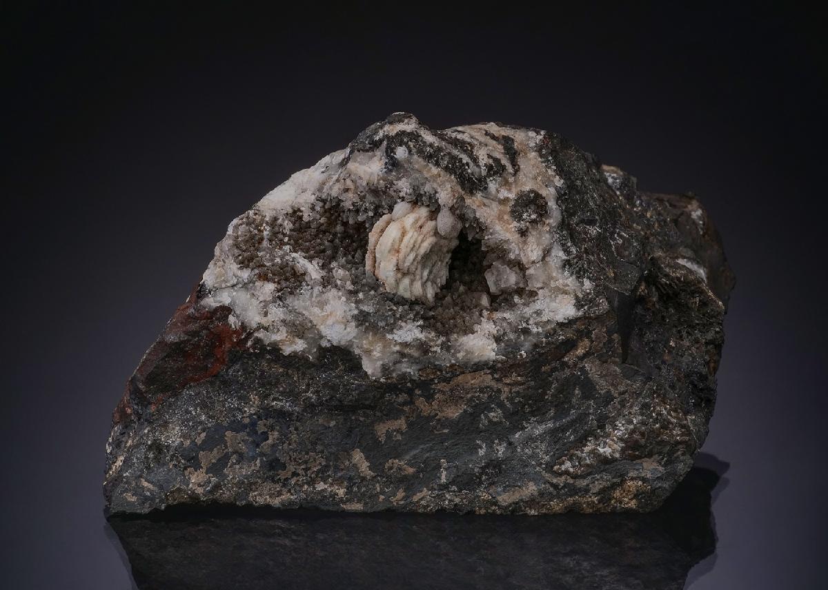 CC17165 specimen image