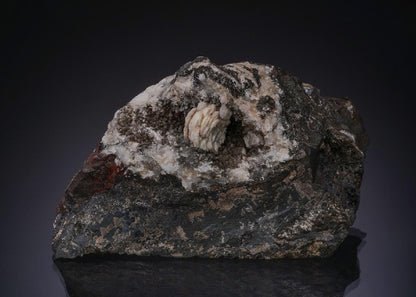 CC17165 specimen image