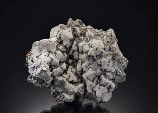 CC17170 specimen image