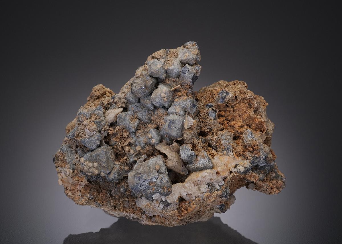 CC17174 specimen image