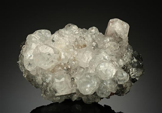 CC17201 specimen image