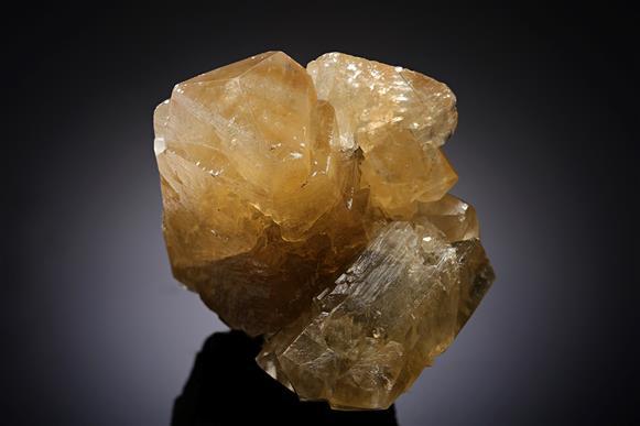 CC17224 specimen image