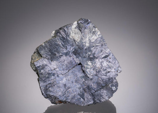 CC17228 specimen image