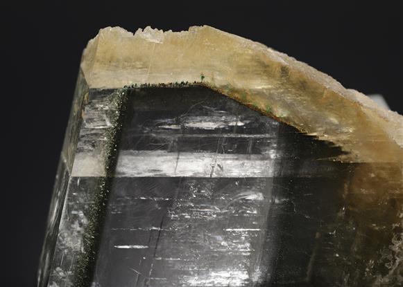 CC17244 specimen image