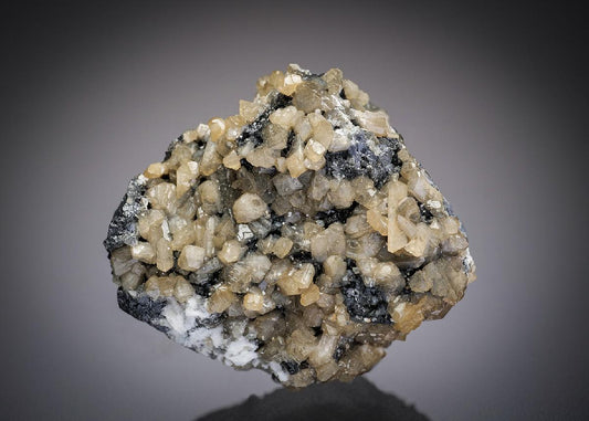 CC17291 specimen image