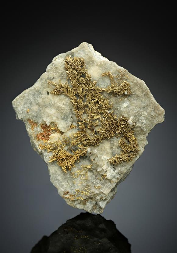 CC17322 specimen image