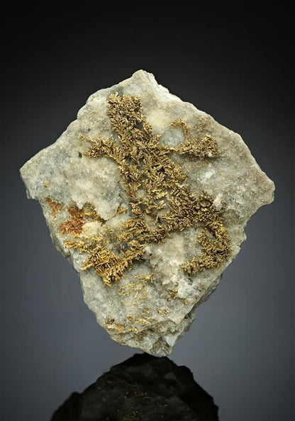 CC17322 specimen image
