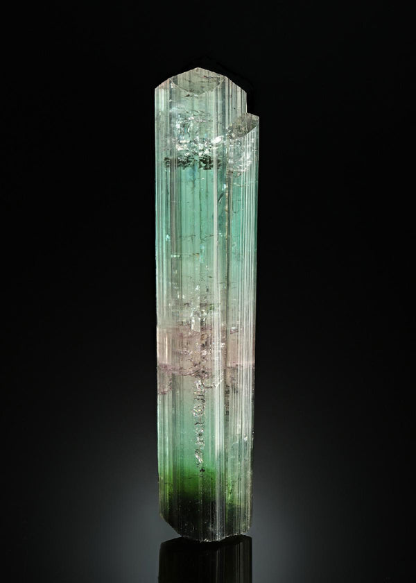 CC17323 specimen image