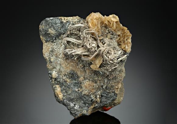 CC17335 specimen image
