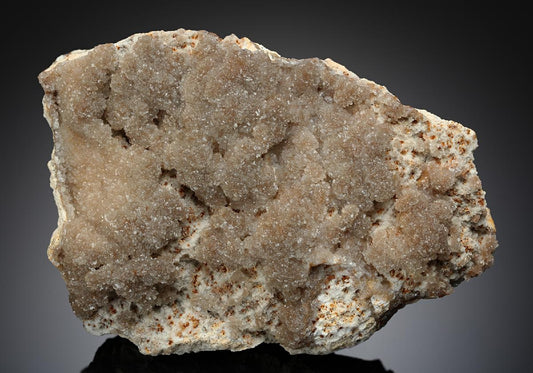 CC17343 specimen image