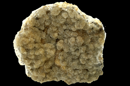 CC17352 specimen image