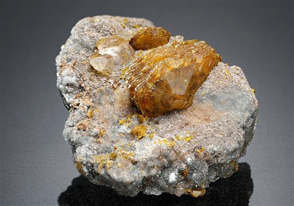 CC17358 specimen image