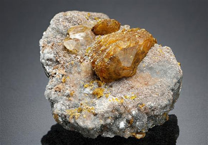 CC17358 specimen image