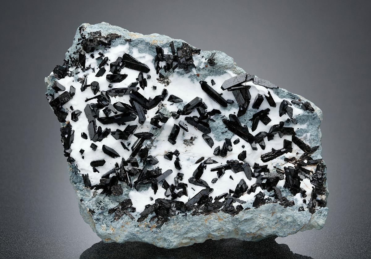 CC17382 specimen image