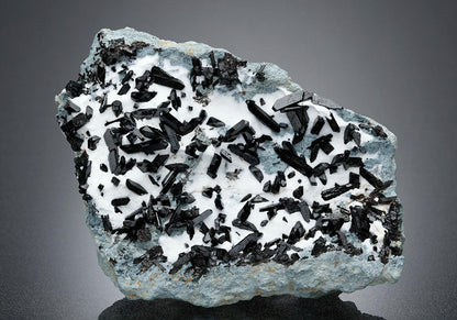 CC17382 specimen image