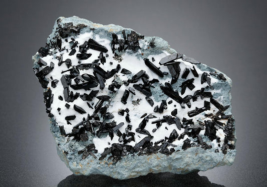 CC17382 specimen image