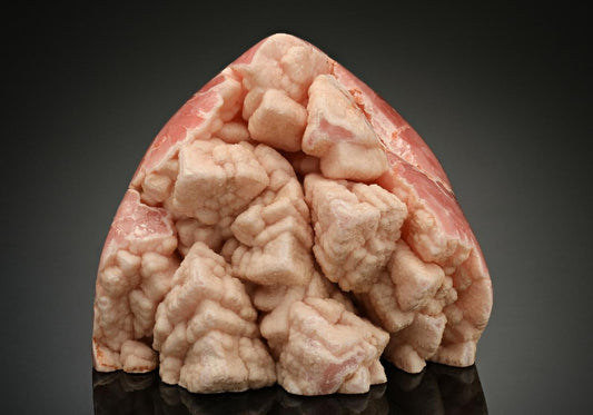 CC17385 specimen image