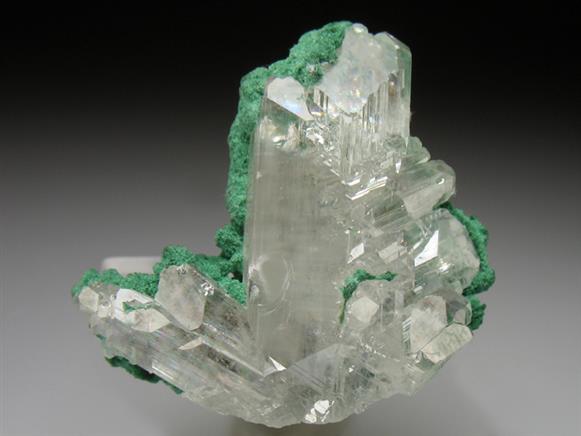 CC1741 specimen image