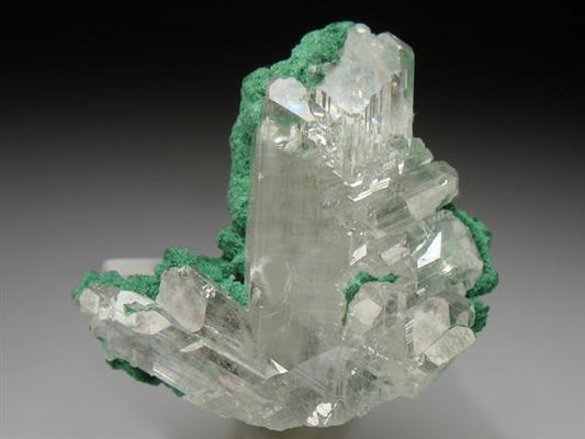 CC1741 specimen image
