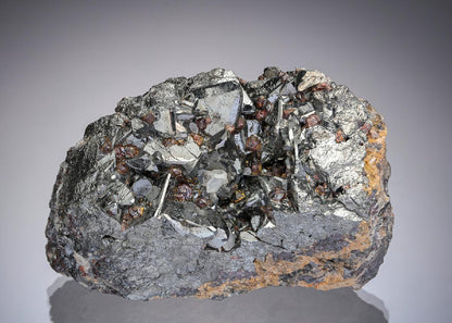 CC17427 specimen image