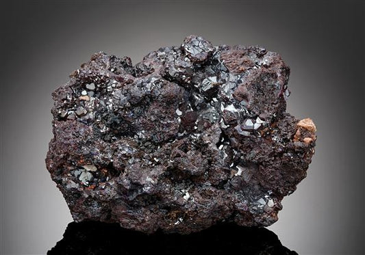 CC17429 specimen image