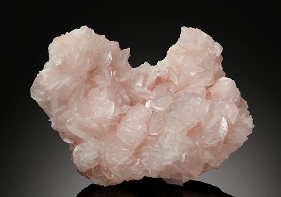 CC17430 specimen image