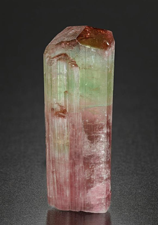 CC17445 specimen image