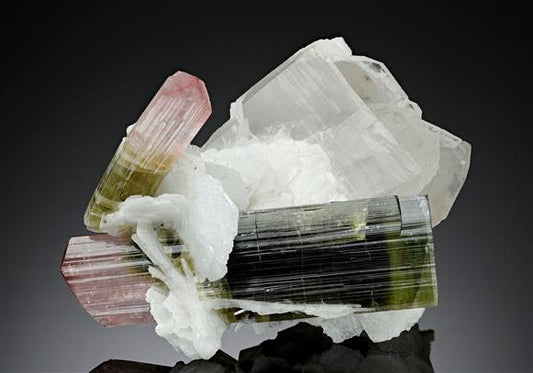CC17448 specimen image