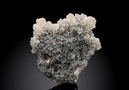 CC17451 specimen image