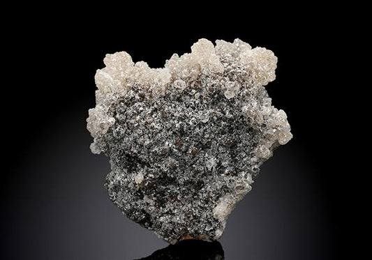 CC17451 specimen image