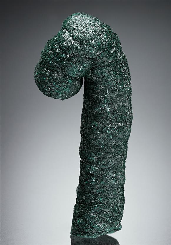 CC17480 specimen image