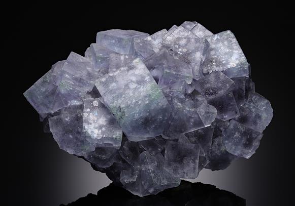 CC17494 specimen image