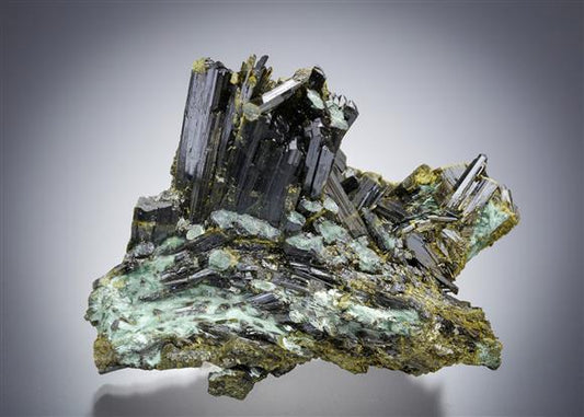 CC17500 specimen image