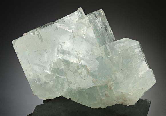 CC17511 specimen image