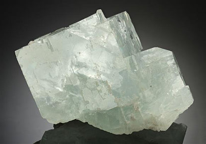 CC17511 specimen image