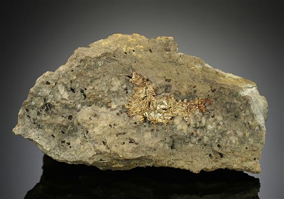 CC17515 specimen image