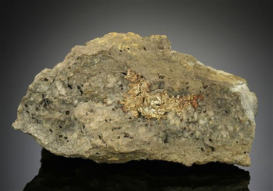 CC17515 specimen image