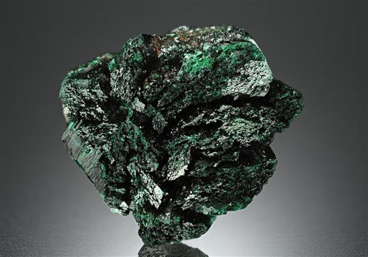 CC17523 specimen image
