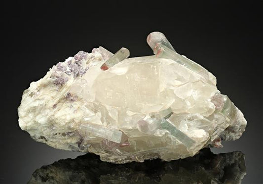 CC17526 specimen image