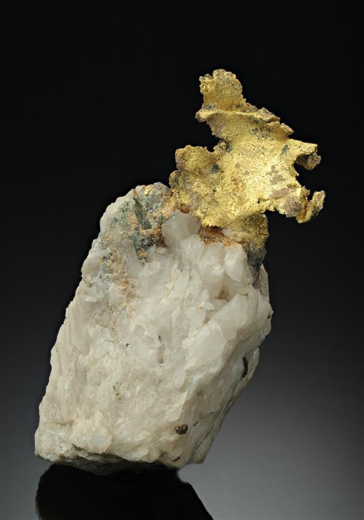 CC17529 specimen image