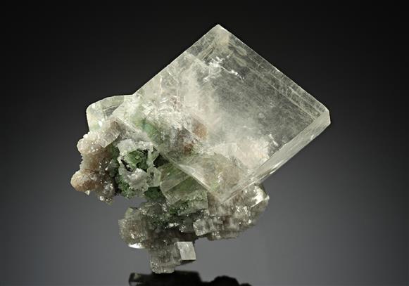 CC17541 specimen image