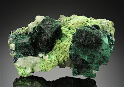 CC17543 specimen image