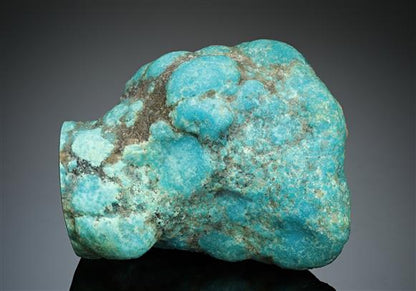 CC17546 specimen image
