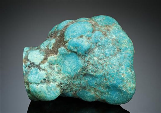 CC17546 specimen image
