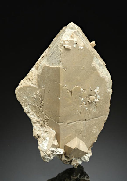 CC17548 specimen image