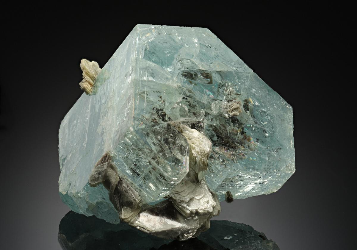CC17572 specimen image