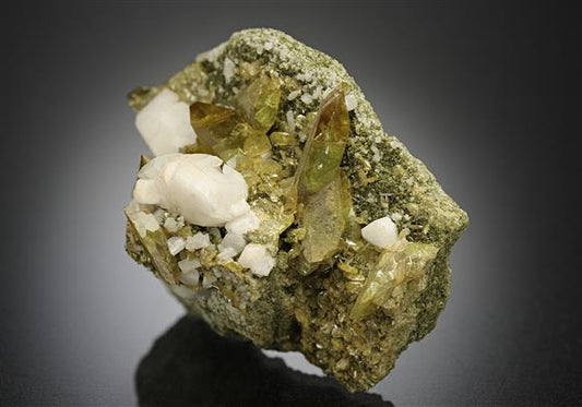 CC17573 specimen image
