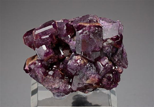 CC17592 specimen image