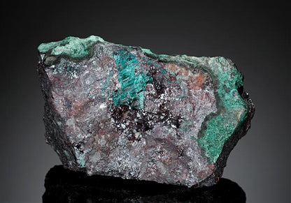 CC17600 specimen image